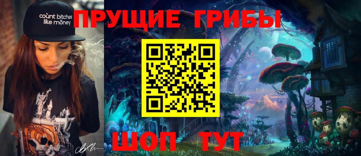 Кондопога  Псилоцибиновые грибы MAGIC MUSHROOMS  Вход с VPN 