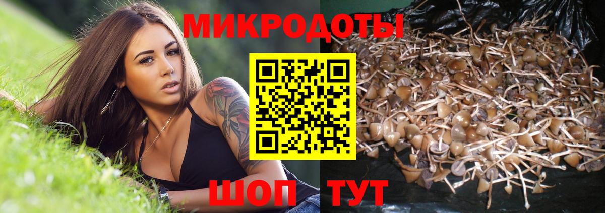 Псилоцибиновые грибы ЛСД Кондопога